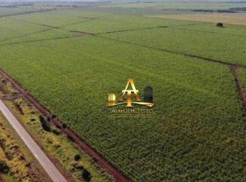 1b3d4b7e4a91b492d73f947d0c1a3ca1dc81a3ab · Fazenda a Venda - Zona Rural - Rio Brilhante/MS