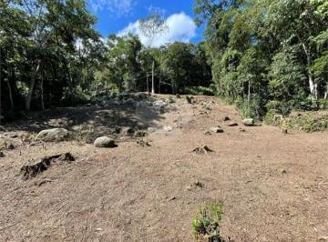 Casa · 1118m² · Condomínio à venda em Roseira - SP
