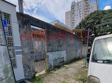 5291ff68b0a67f1f3719ed37bf8b26b0.jpg · Terreno de 380m²