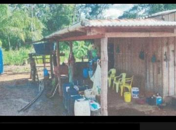 Rural , Alta Floresta D'Oeste · Leilão Exclusivo - Fazenda em Alta Floresta D'Oeste