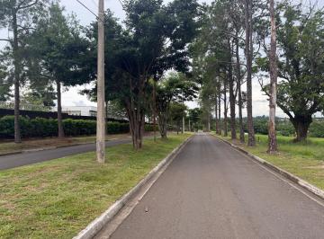 Foto 08 · Terreno, Primavera, Águas de São Pedro, SP