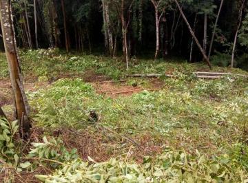 Terreno · 2526m² · TERRENO À VENDA EM TERRA PRETA COM 2.526M² – ÓTIMA OPORTUNIDADE!