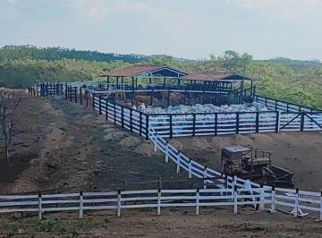 Rural , Padre Bernardo · Fazenda 32 alqueires a 22 km de Taboquinha Padre Bernardo