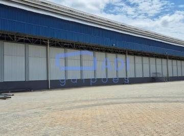 Comercial · 4420m² · Galpão 4420 m² - 18 docas - Dutra - Guarulhos