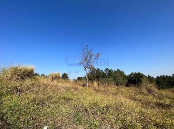 Comercial · 30000m² · Terreno Industrial para Venda - 30.000 m² - Rod. Castello Branco - Araçariguama