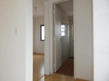 IMG_20260622_031842_000.jpeg · Atraente apartamento para locação em Vila Romana com 2 quartos, 59m² - remaxterra#GRAX2