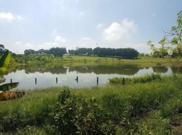 Rural · 250m² · 3 Quartos · Chácara à venda e locação 3 Quartos, 3950M², Goiabal, Pindamonhangaba - SP