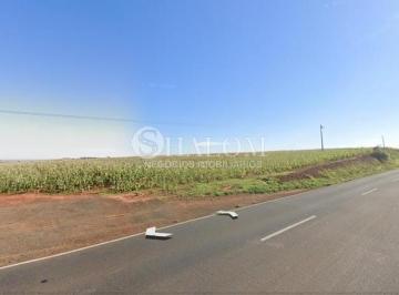 Imagem 1 · Fazenda
