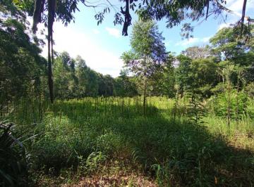 566153.jpg · Sitio - Bairro Morro Agudo