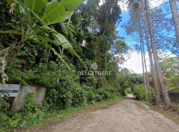 Terreno · 4010m² · Terreno em Vargem Grande, Teresópolis/RJ de 0m² à venda por R$ 300.000,00