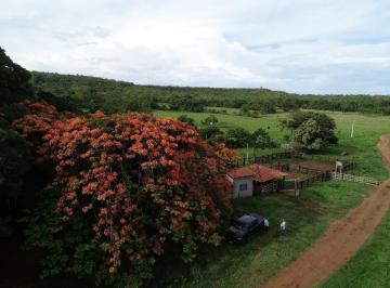 Rural · 102ha · Fazenda a venda em Honorópolis MG