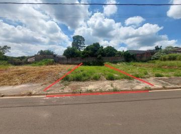 f3cd4266d8cbe3ece88aabf9ccd416e6607275b9 · Terreno Residencial à venda, 250 m² - Vista Alegre - Santa Bárbara D'Oeste/SP