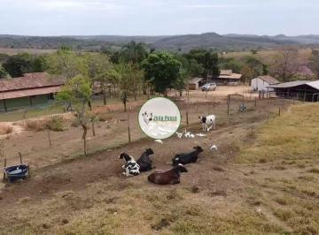 Rural , Unaí · Fazendinha a venda em Unaí-MG - 44 Hectares - Pecuária e Lavoura - Estrutura boa