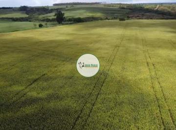 Rural , Brasília · Fazenda a venda em Brasília Reigão do PADF 194 Hectares - Para SOJA-MILHO