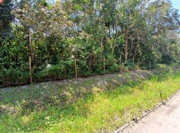 202410171518032960.jpg · Terreno para Venda em Itanhaém, São Fernando