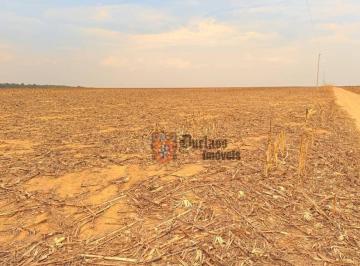 Imagem 1 · Fazenda