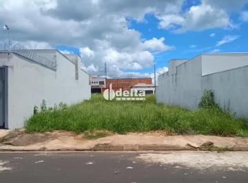 Terreno · 250m² · Terreno disponível para venda no bairro Laranjeiras em Uberlândia - MG
