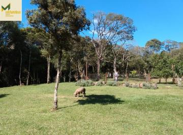 Rural · 3ha · Sítio de frente para o asfalto em Cambará do Sul!!