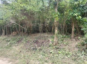 cf84e7765a4fa7f9ccb21ab40d6a5c74061a8839 · Terreno à venda, 2000 m² por R$ 170.000,00 - Itaocaia Valley (Itaipuaçu) - Maricá/RJ
