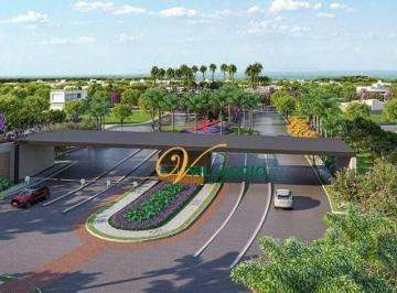 d9472ca9e83a1127795e0f38d58c19b8397afe5e · Terreno à venda, 312 m² por R$ 438.000 - Complexo Eplenum. - São José do Rio Preto/SP