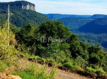 1.1 - FOTO 1 - NOVA PETRÓPOLIS - VISTA 1.jpeg · Fazenda / Sítio / Chácara, 30000 m², em Linha Brasil Fundos / Linha Riachuelo