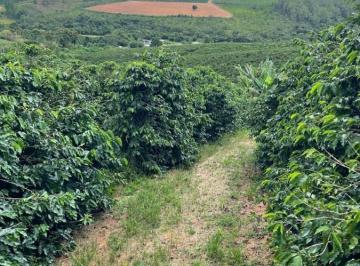 202602121501122924.jpg · Fazenda para Venda em Piumhi, RURAL