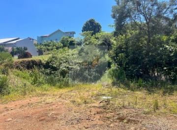 Foto 01 · Terreno à Venda no Logradouro Nova Petrópolis | 363m² Pronto para Construir | Localização Nobre