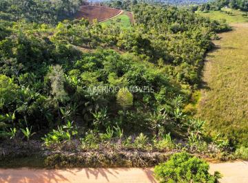 202602121606565855.jpg · Quintal Agroflorestal à Venda em Uruçuca | Cacau e Açaí Produzindo