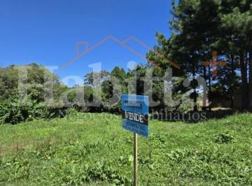20260212162657169.jpg · Terreno para Venda em São Bento do Sul, Progresso