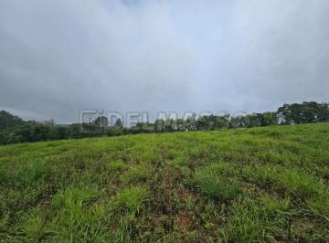 Terreno , Ibiúna · Terreno de 31.000m² , perfeito para investimento!
