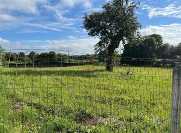 Comercial · 2800m² · Comercial à venda - na Planta Laranjeiras