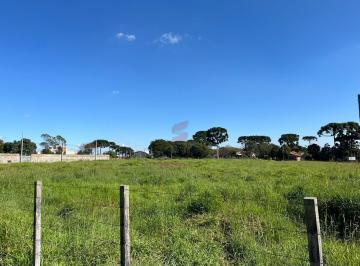 Comercial · 5513m² · Comercial à venda - no Centro