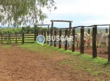 Rural · 13m² · 2 Quartos · Fazenda em Barreiras