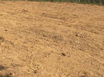 Imagem 1 · Terreno
