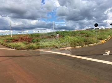Imagem 1 · Terreno