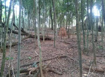 Imagem 1 · Terreno