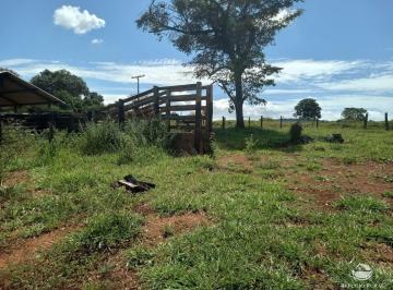 Imagem 1 · Fazenda