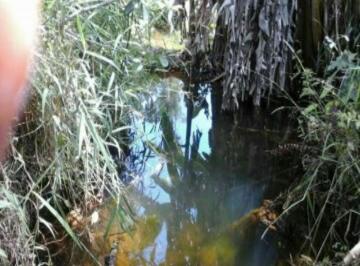 Imagem 1 · Terreno