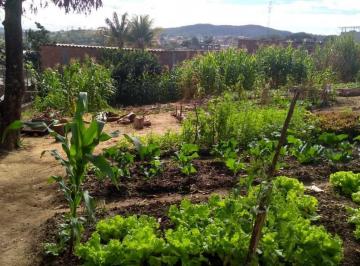 Imagem 1 · Terreno