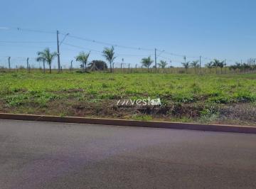 Imagem 1 · Terreno
