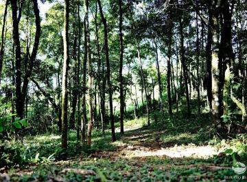 Imagem 1 · Terreno