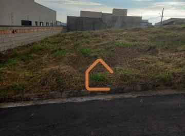 Imagem 1 · Terreno