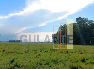Imagem 1 · Fazenda