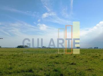 Imagem 1 · Fazenda