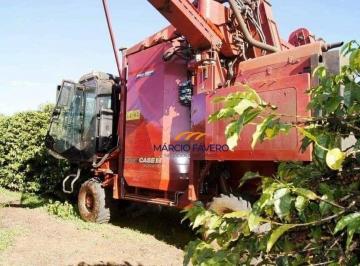 Imagem 1 · Fazenda