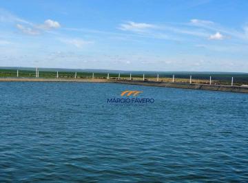 Imagem 1 · Fazenda
