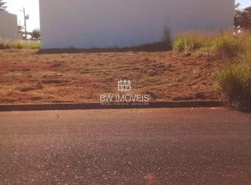 Imagem 1 · Terreno