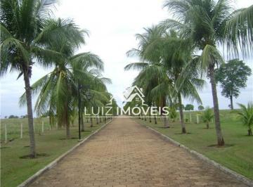 i1.jpg · VENDO FAZENDA MODELO AGRO 438ALQUEIRES MUNDO NOVO GO