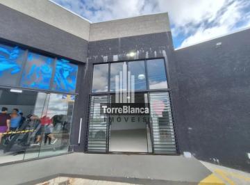 whatsapp-image-2026-02-10-at-11-43-591770752456683.jpeg · Imoveis - em Uvaranas