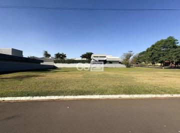 41758562990354.jpg · Imoveis - no Jardim Tarobá